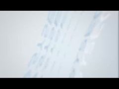 ultra wide field fundus camera